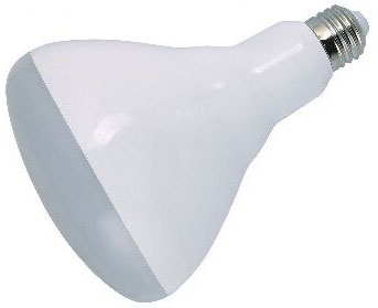 LED Light Bulbs