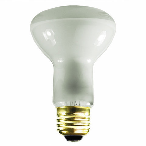 Light Bulb R 20 120 Volts