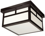 Outdoor Flush Mount Stainless Steel Finish With Opal Glass 1618- CRFM